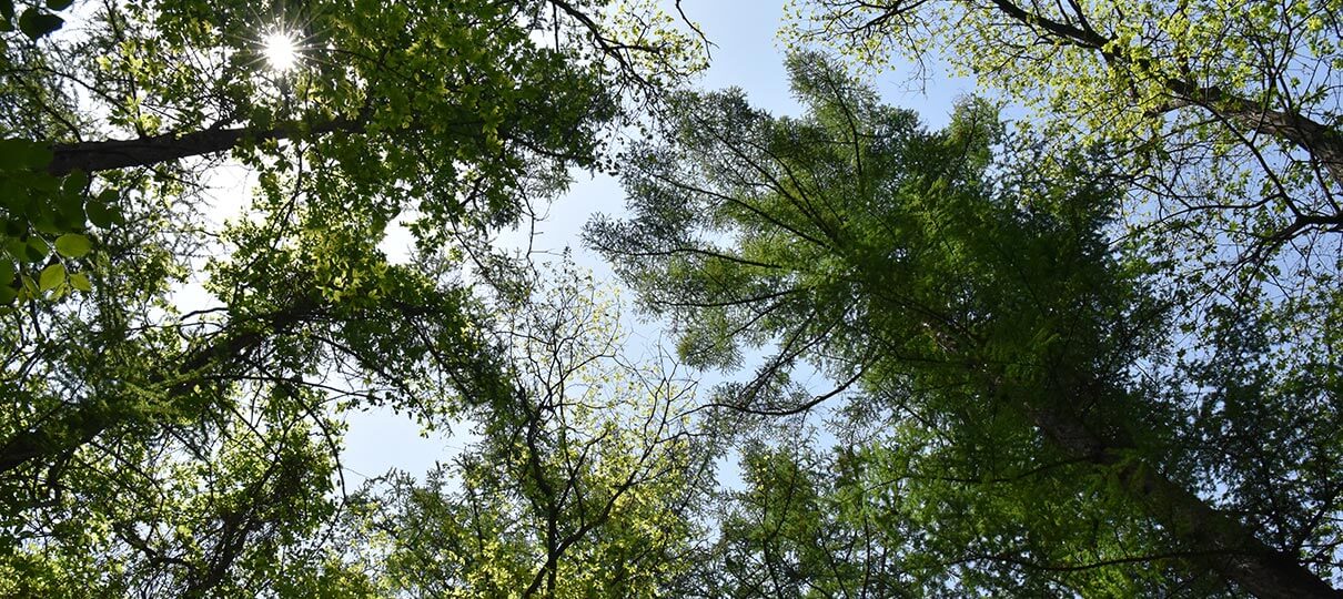 멍때리기 좋은 쉬자파크