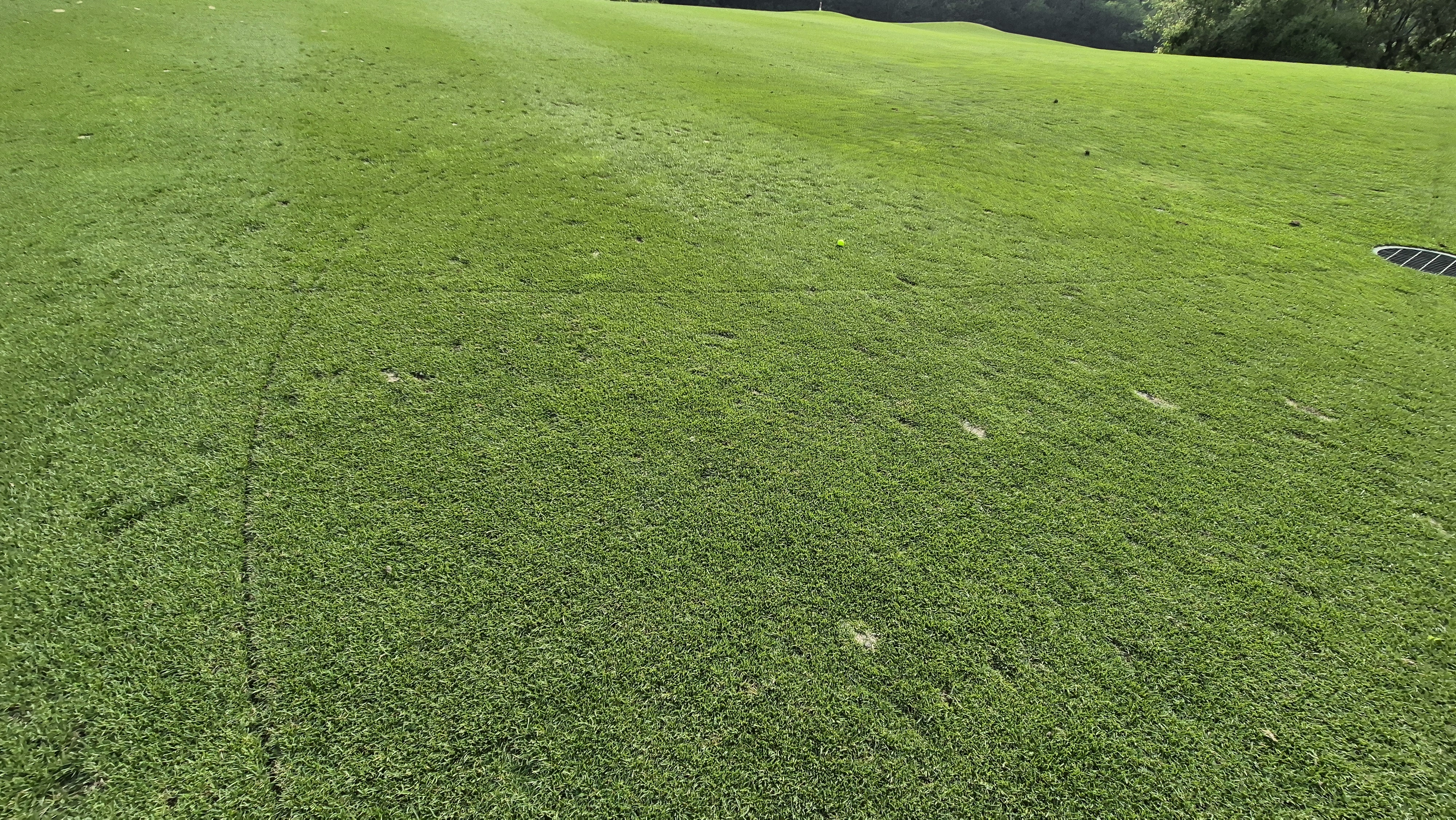 오너스gc 라운드 후기