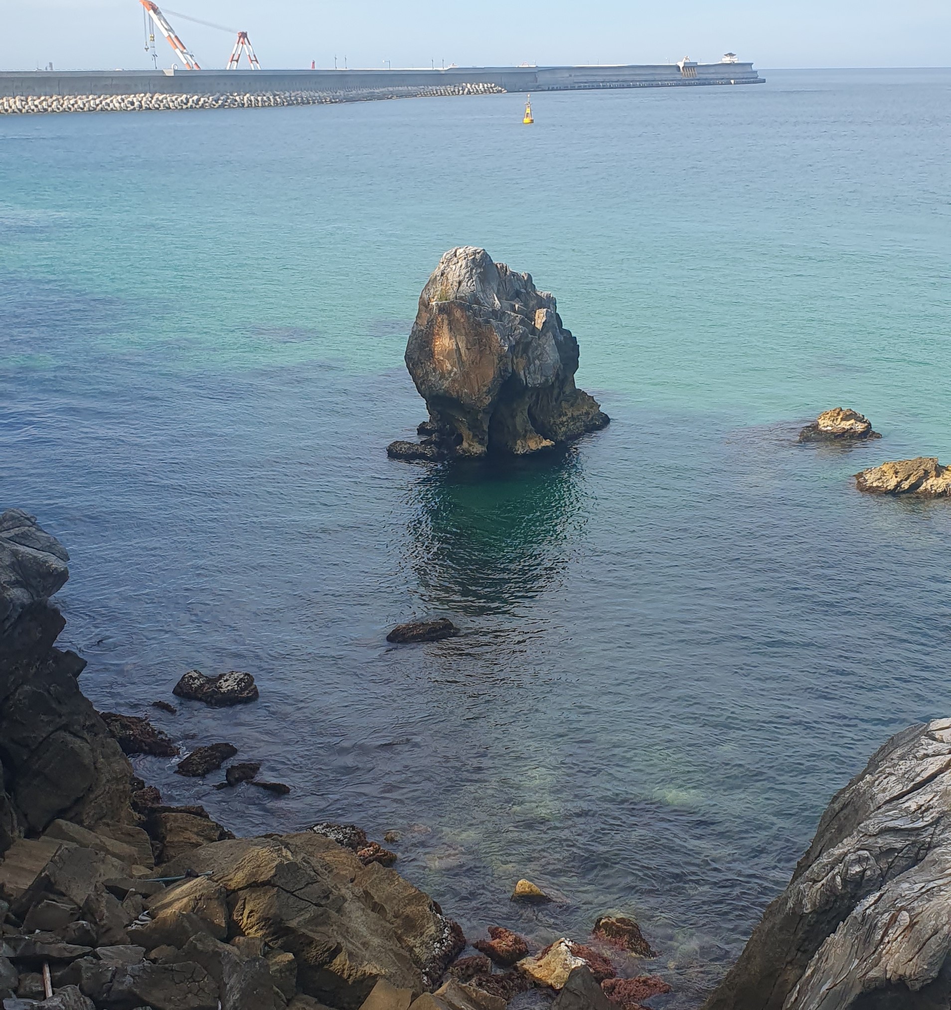 분당 율동공원 산책로 숨은 포토존