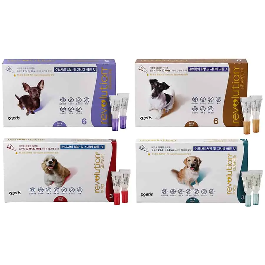 강아지-심장사상충약-레볼루션