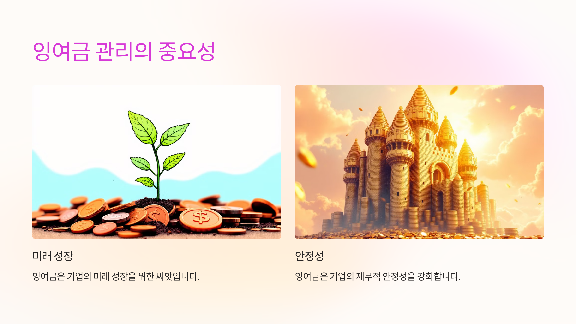 잉여금의 전략적 활용 및 잉여금 관리의 중요성