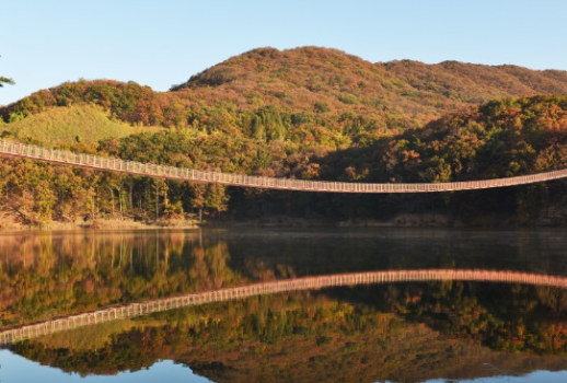 파주 마장호수 출렁다리
