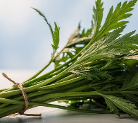 비염에 좋은 음식