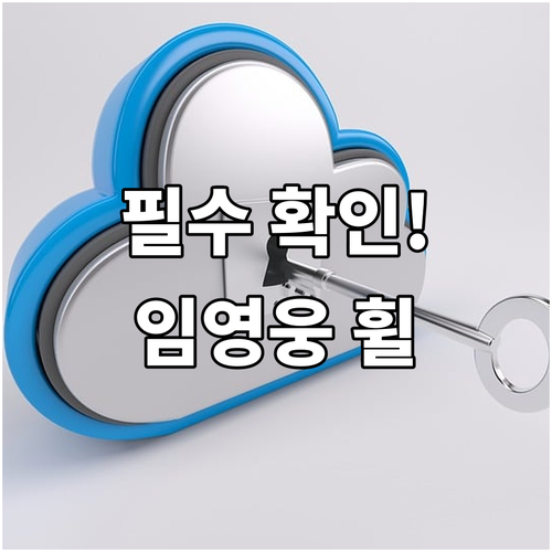 일반 예매와 다른 임영웅 콘서트 휠체..