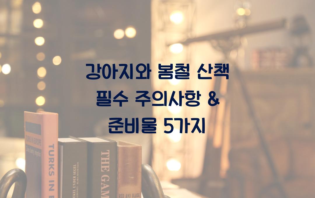 강아지와 봄철 산책 필수 주의사항 및 준비물