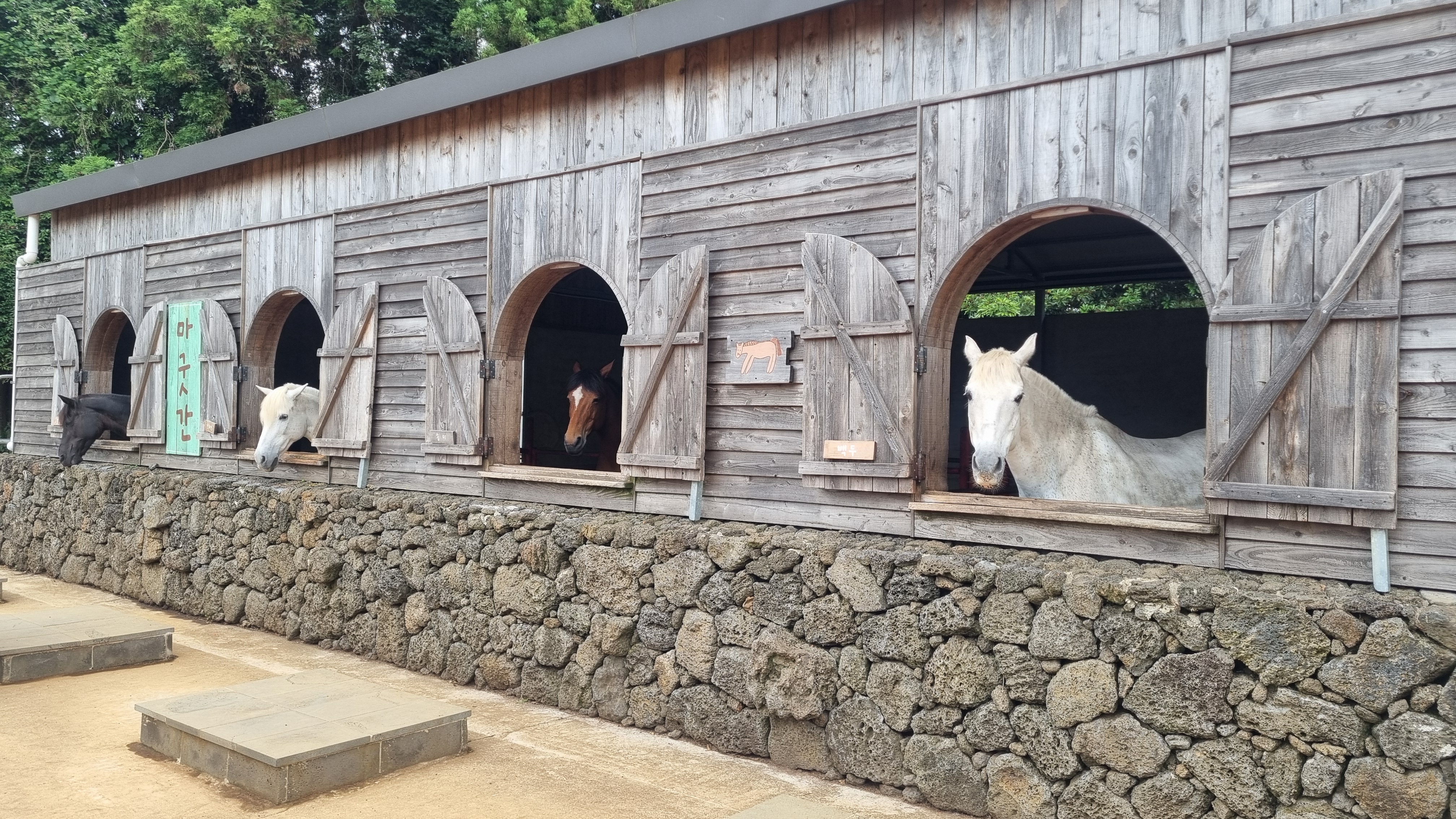 제주 목장카페 밭디