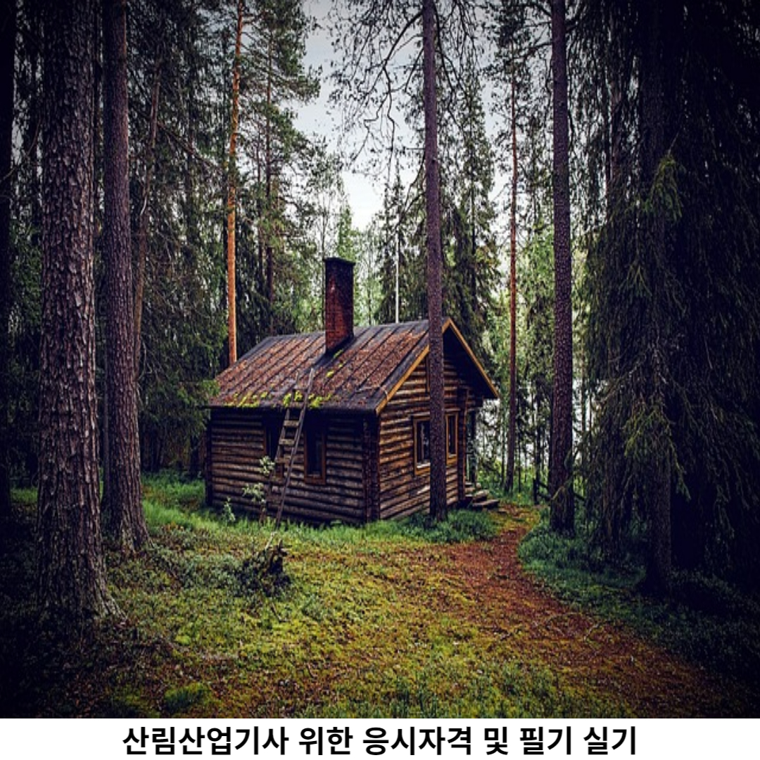 산림산업기사 필기 시험