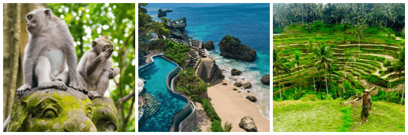 우붓 원숭이숲, 발리 해변, 뜨갈랄랑 사진