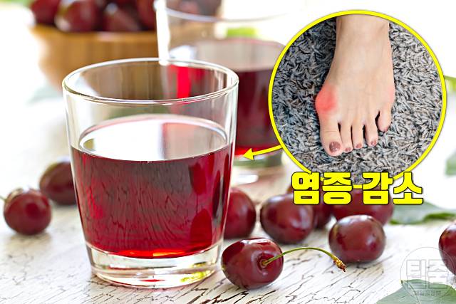 통풍에 좋은 음식 체리 앵두 통풍에 좋은 고기