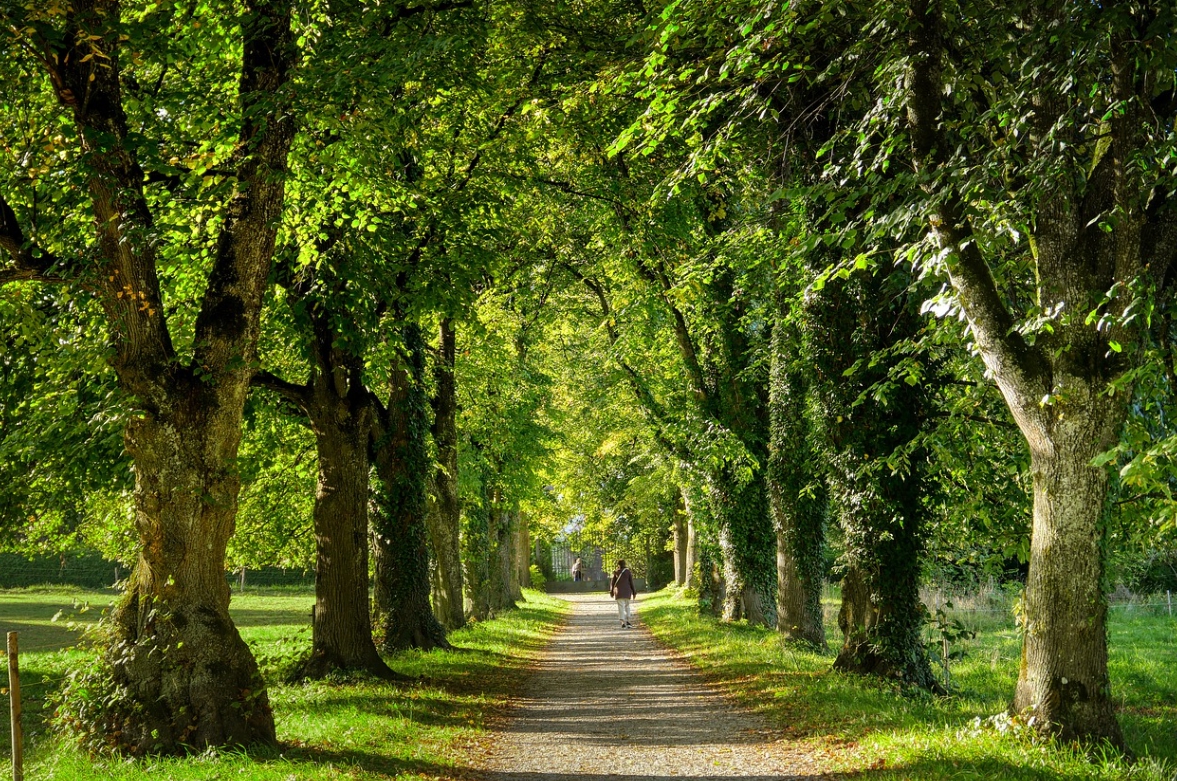 고양누리길 코스 안내
