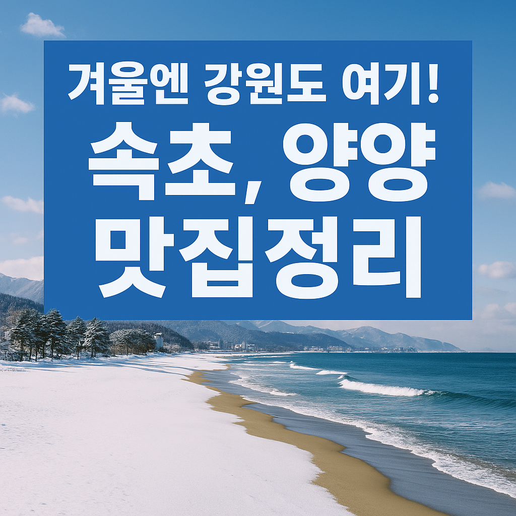 겨울엔 강원도 여기! (속초, 양양, 맛집정리)