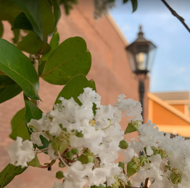 운명을 달리한 꽃다운 젊은이들의 명복을 빕니다