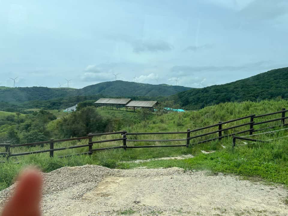 대관령 삼양목장 셔틀버스