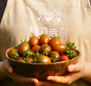채고농장 흑방울토마토