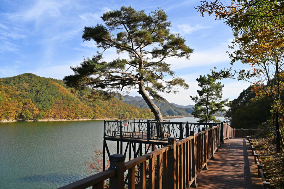향수호수길