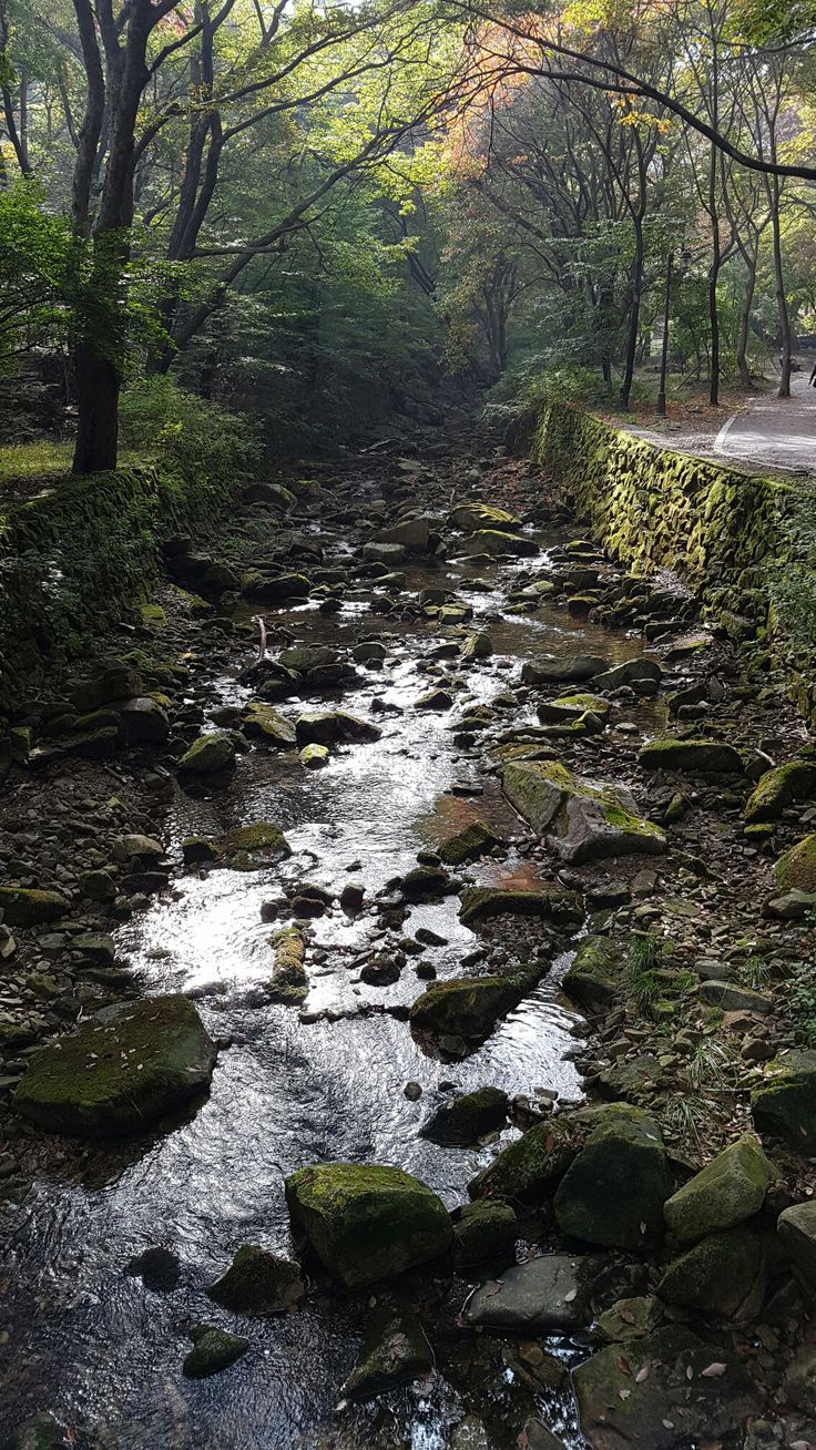 계룡산