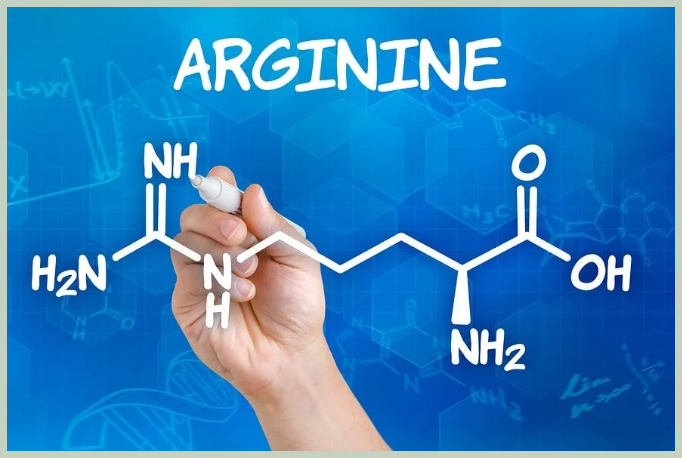 아르기닌 영양제 효과