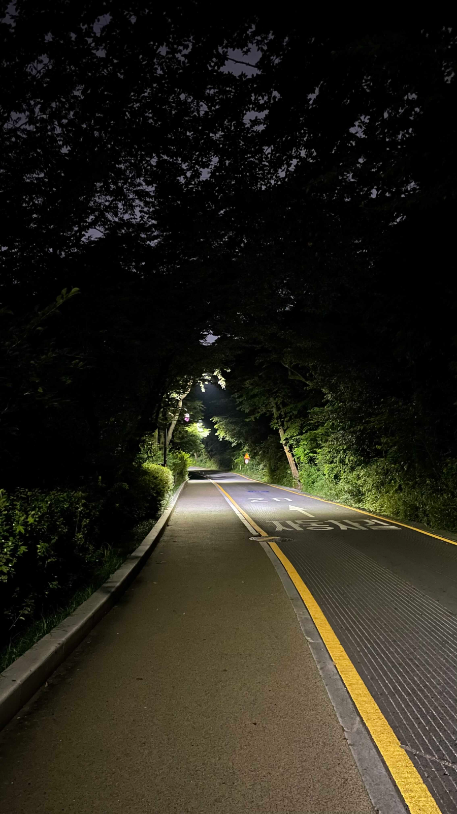 남선서울타워 밤소풍