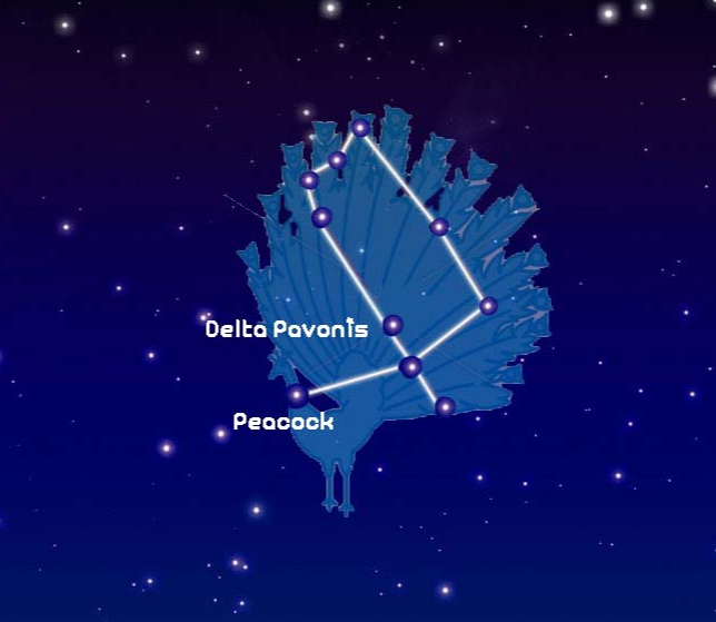 공작자리 이미지