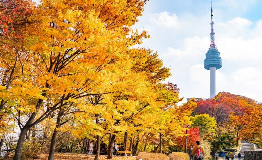 남산 단풍