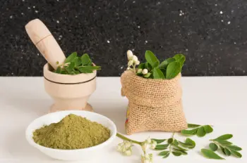 모링가 효능 및 영양성분, 주의점