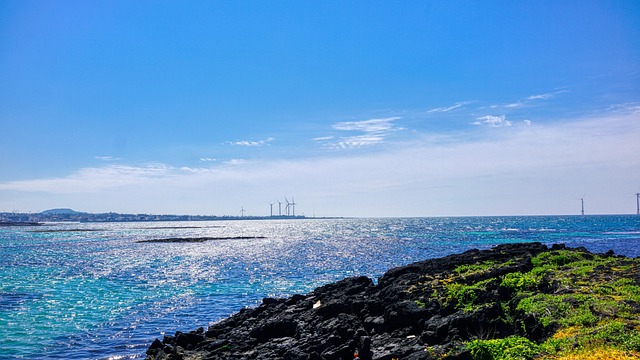 예래생태마을 논짓물축제
