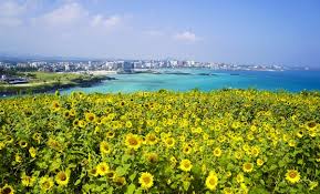 8월 제주도 가볼만한곳10곳