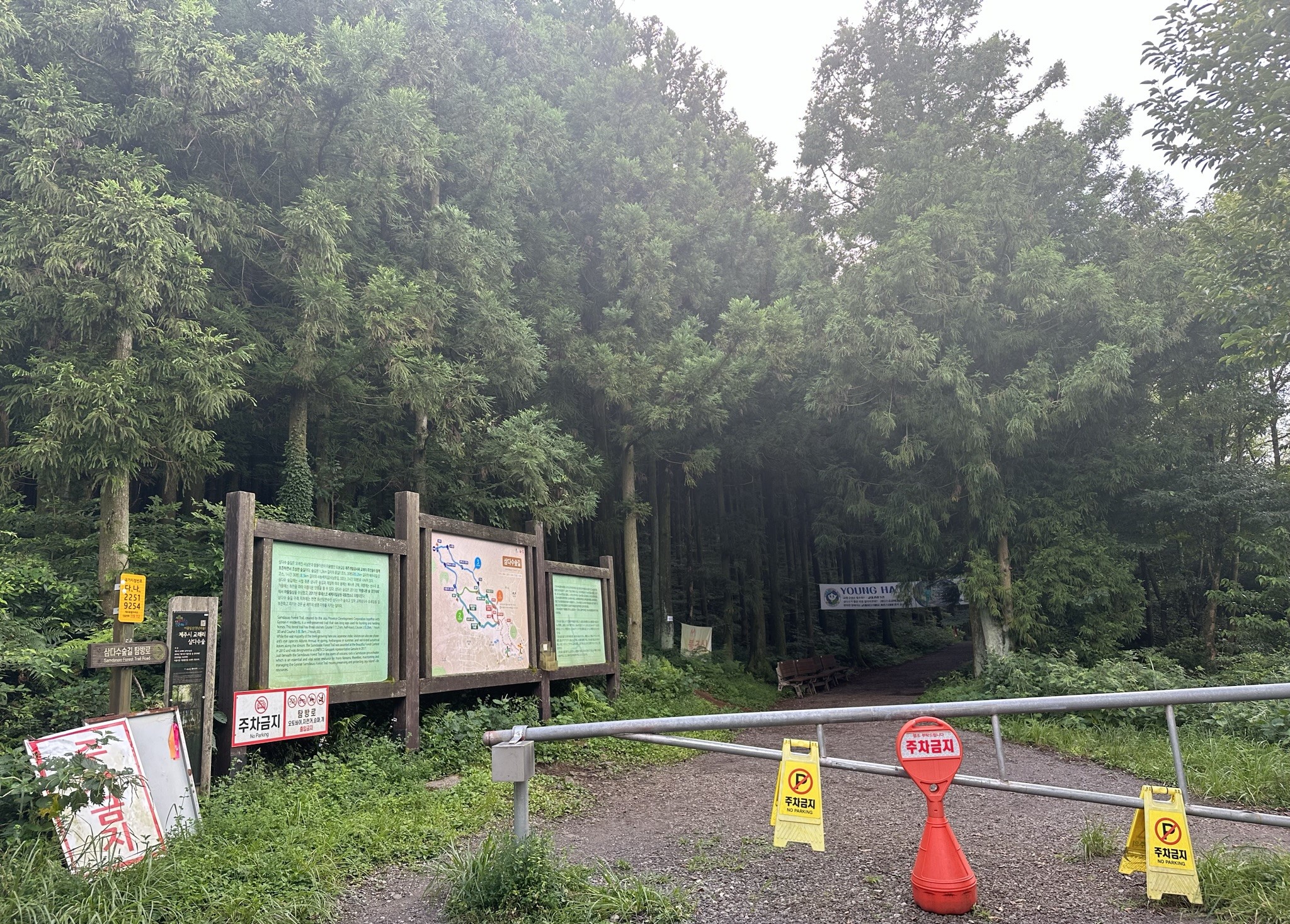 숲-입구 