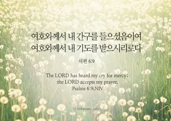 시편 62장 1절 읽기 - 나의 영혼이 잠잠히 하나님만 바람이여 나의 구원이 그에게서 나오는도다_2