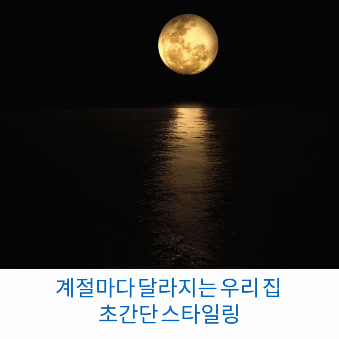 계절마다-달라지는-우리-집-초간단-스타일링-썸네일
