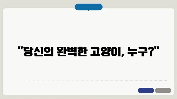 고양이 종류 완벽 정리 랙돌, 스코티쉬폴드, 샴 차이점 비교는 이렇다