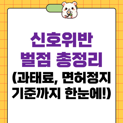 신호위반 벌점