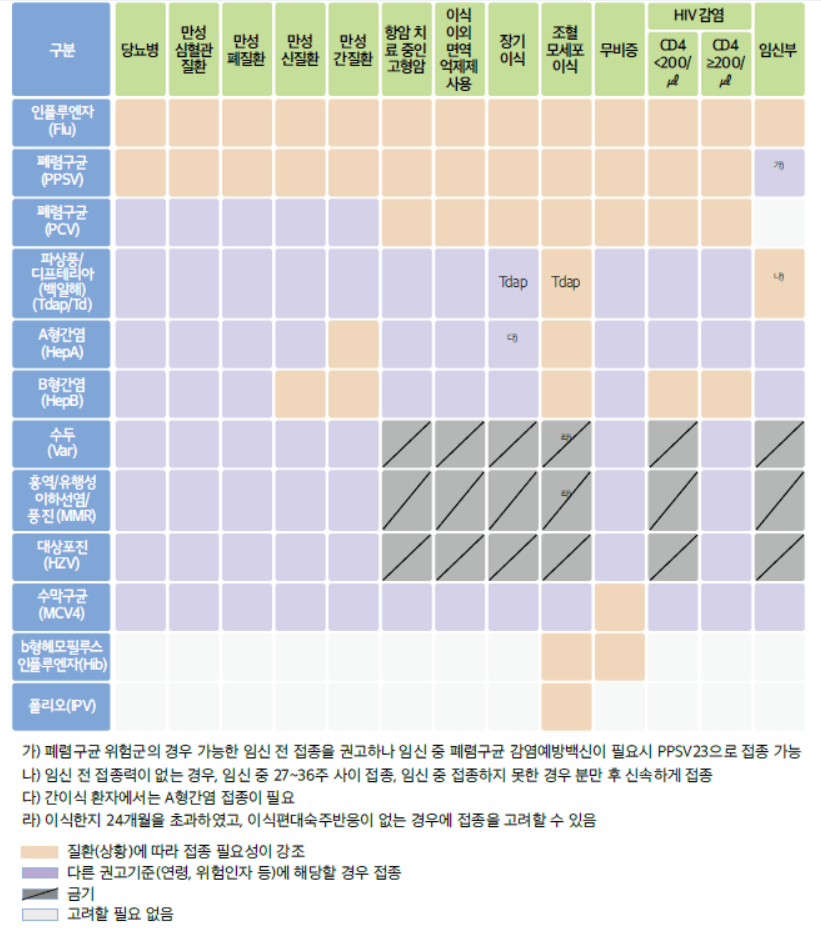 건강한 삶을 위한 준비! 성인 필수 예방접종 가이드