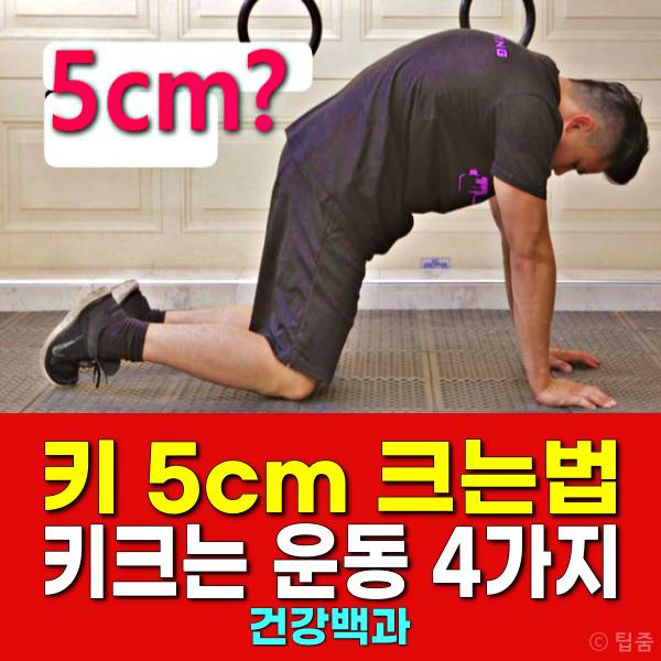 키 5cm 크는법 키크는 운동 키크는수술 없이 숨은키 찾기