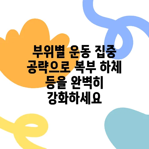 부위별 운동 집중 공략으로 복부 하체 등을 완벽히 강화하세요