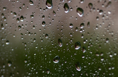 러브버그 퇴치 및 예방법