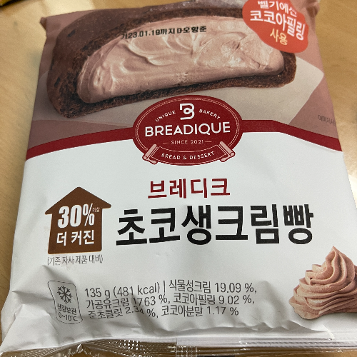 브레디크 초코생크림빵