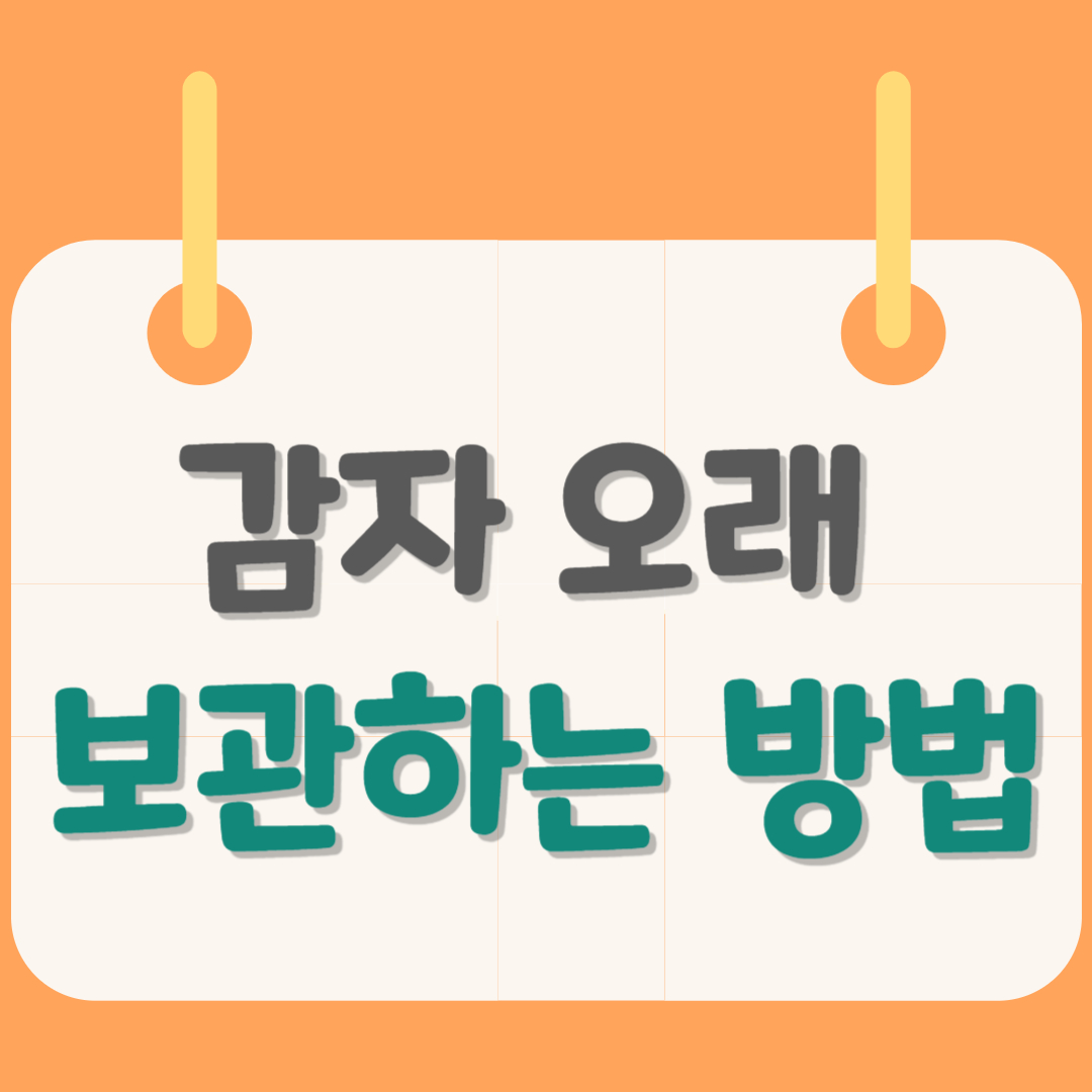 감자-보관법