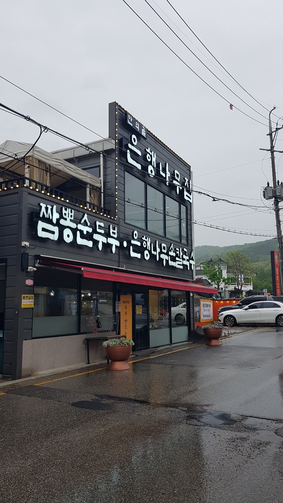 은행나무집