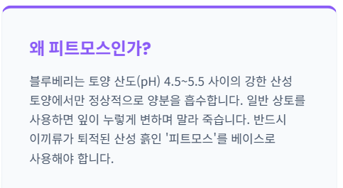 블루베리 키우기