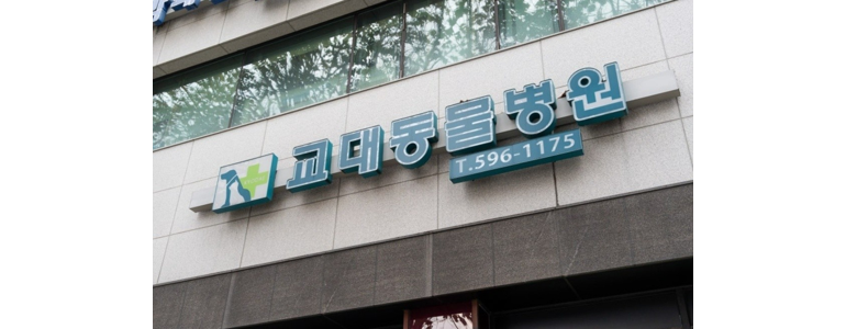 서울 서초구 동물병원