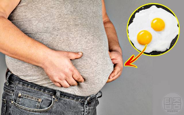 올챙이뱃살 빼는법 올챙이배 빼기 비타민d