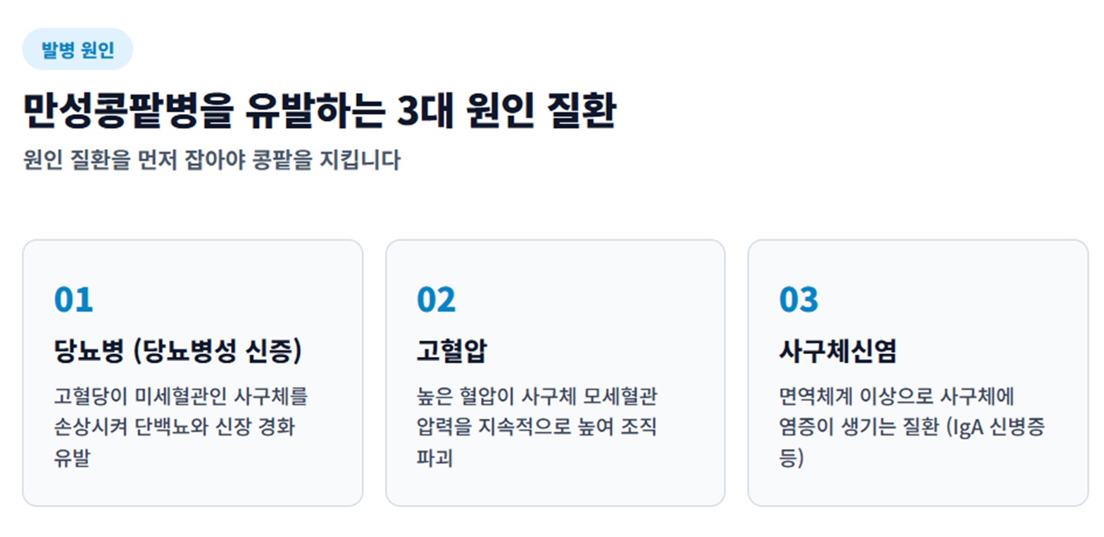 EBS-명의-만성콩팥병-3대원인
