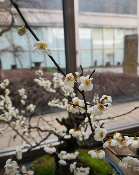 금강자연휴양림3