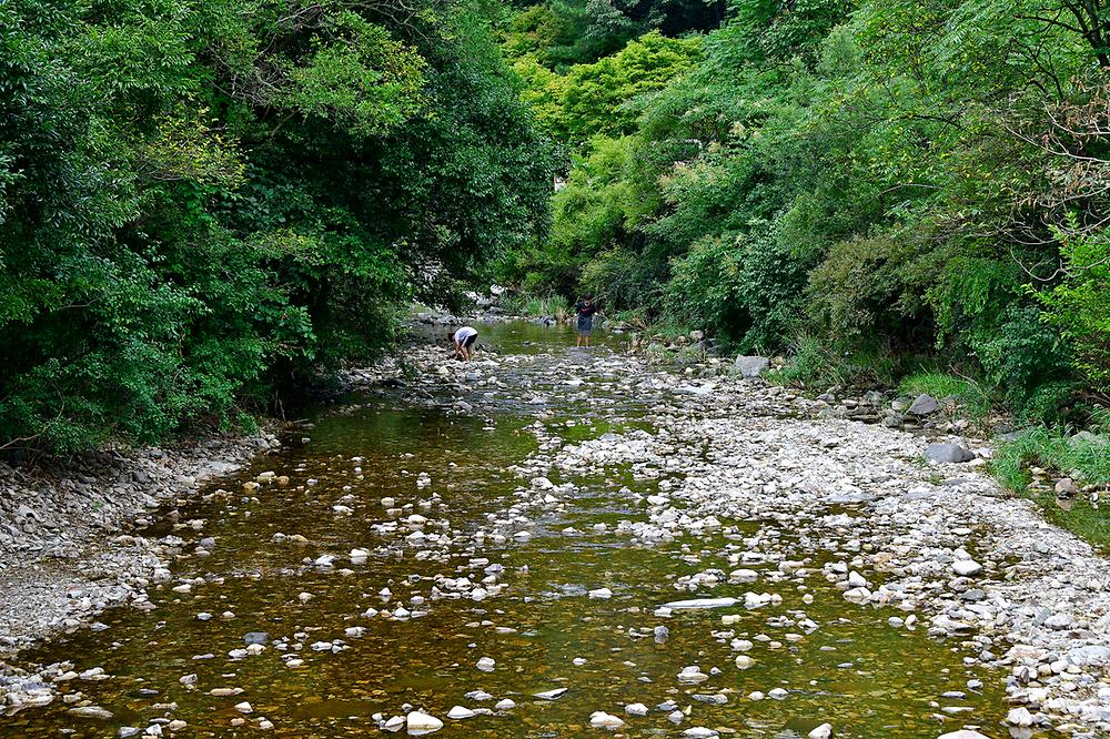내장산 내장야영장. 전라북도 정읍시 내장동 내장산로 800(내장동 92-2)