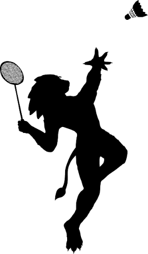 안세영 인도네시아 오픈 결승 결과