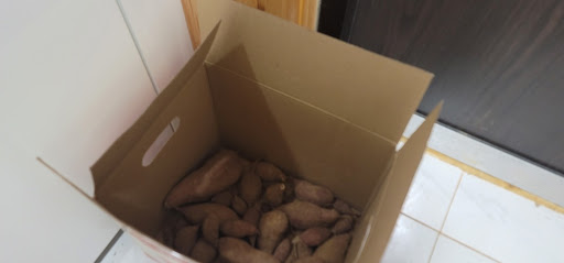 겨울철 현관 앞에 박스째 놓아둔 고구마 보관 모습