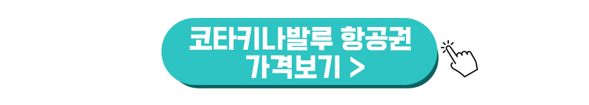 코타키나발루 항공권 가격보기