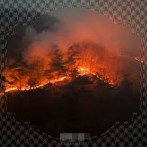 경북 산불 재난지원금 신청방법