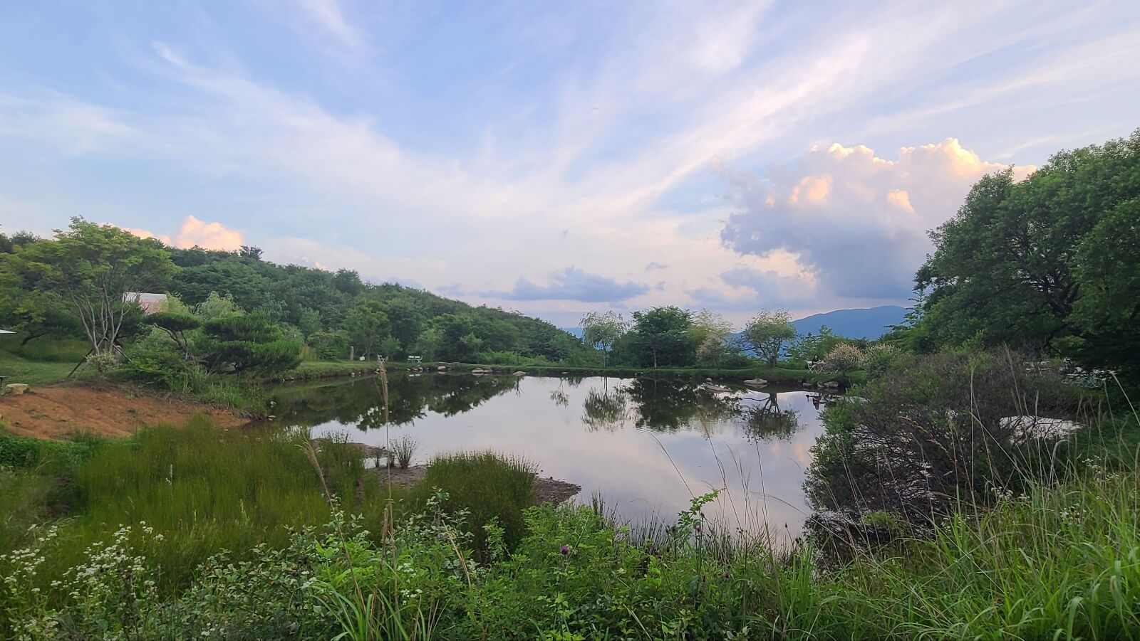 목장8